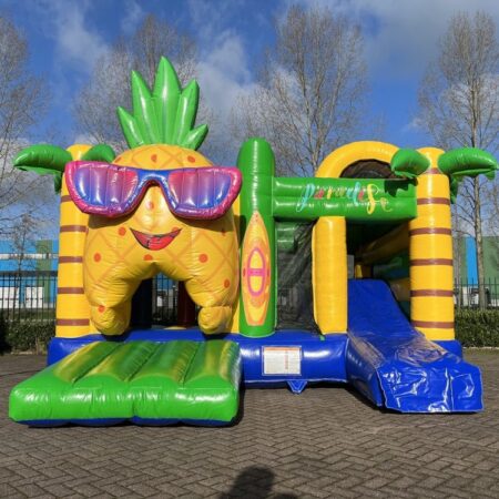 paradise mini multifun