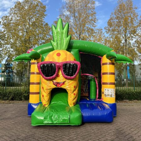 Paradise mini multifun